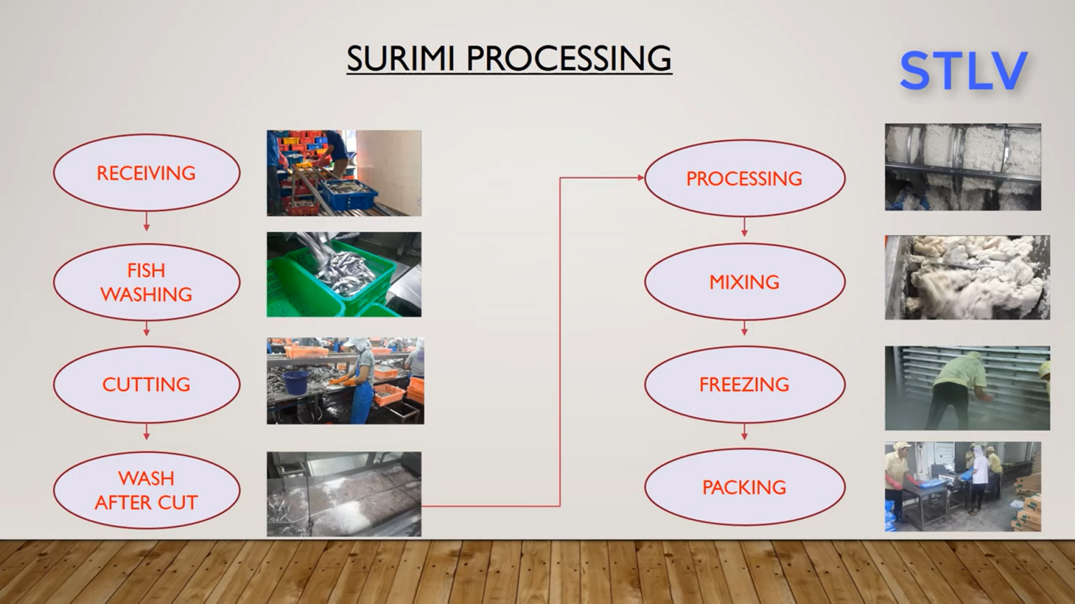 Surimi Processing Line SURIMI TECH
